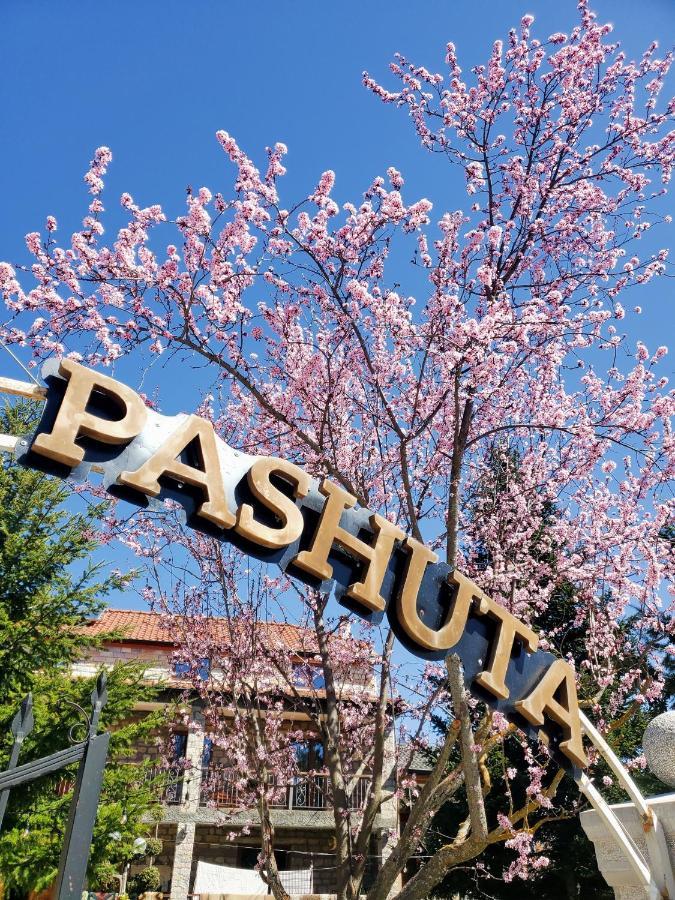 Pashuta Hotel Voskopoje Bagian luar foto