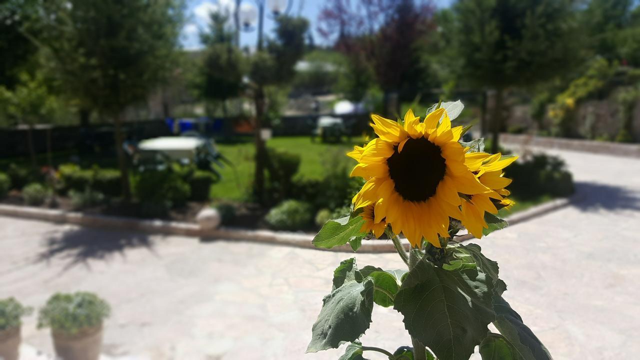 Pashuta Hotel Voskopoje Bagian luar foto